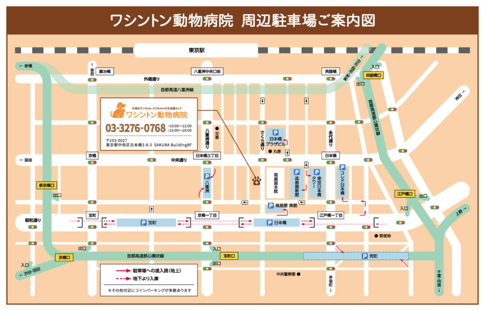 ワシントン動物病院_駐車場map