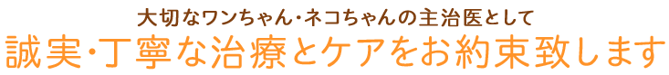 大切なワンちゃん・ネコちゃんの主治医として