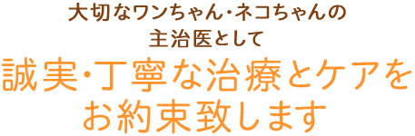 大切なワンちゃん・ネコちゃんの主治医として